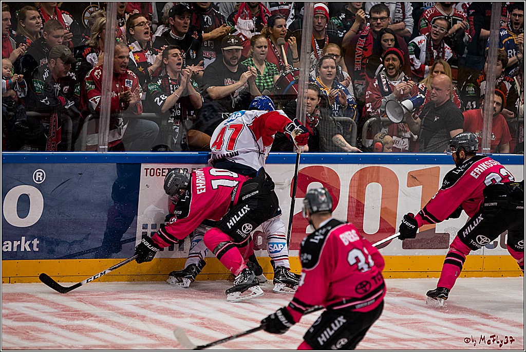 Koelner Haie - Adler Mannheim, 30.10.2016